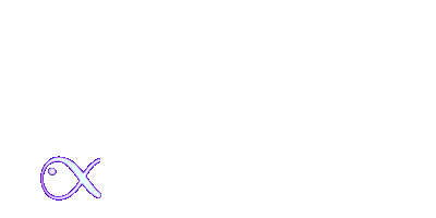 チョウチョウウオ科 海水魚図鑑 Shiny Ace